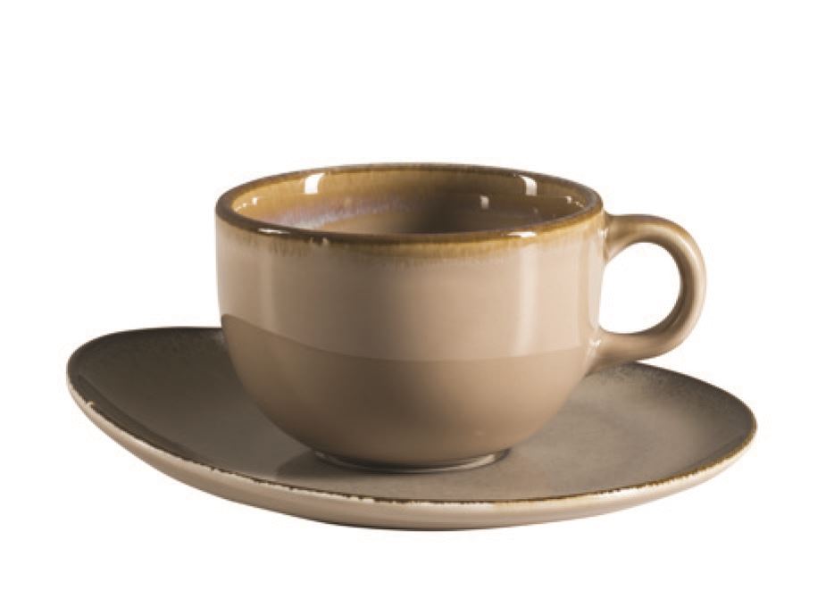 Tea Cup And Saucer